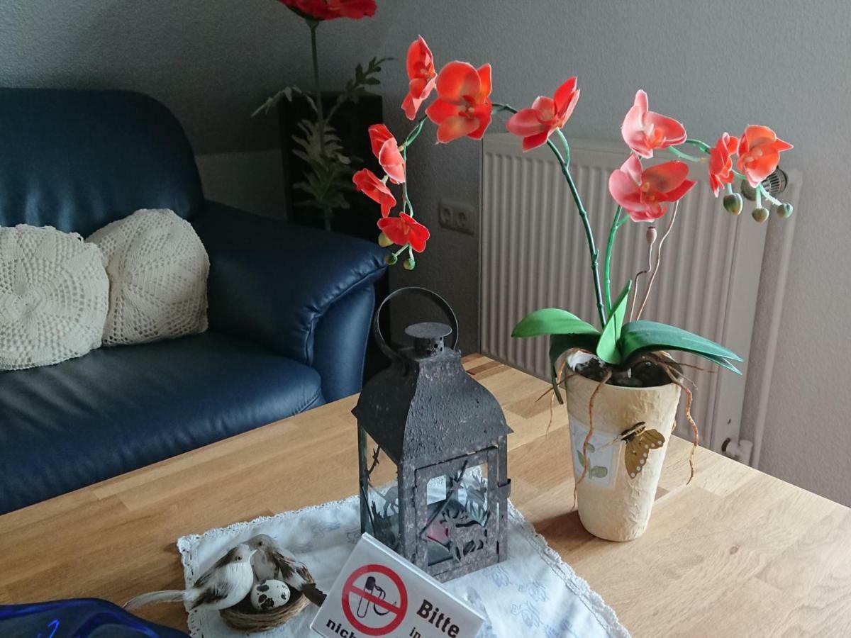 Ferienhaus Wieke Wiesmoor Kültér fotó